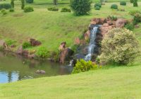 Parque do Japão - Maringá PR